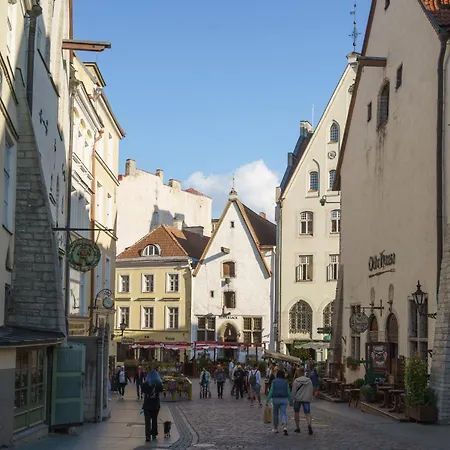 Great American Gallery * Tallin