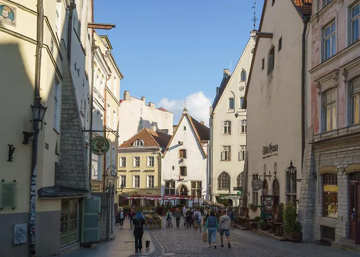 Great American Gallery * 塔林