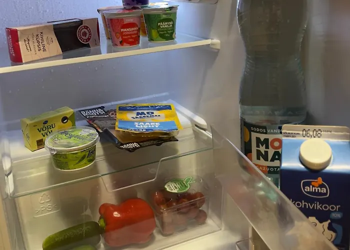 아파트 Great American Gallery 탈린